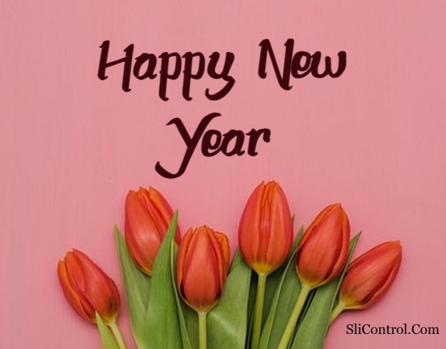 happy new year wishes