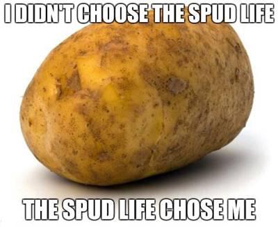 42 Funny Potato Memes “I didn't choose the spud life, The spud life chose me.”