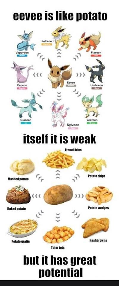 42 Funny Potato Memes “Look for something positive in each day. Eevee is like potato itself it is weak but it has great potential.”