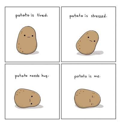 42 Funny Potato Memes “Potato is tired. Potato is stressed. Potato needs hug. potato is me.”