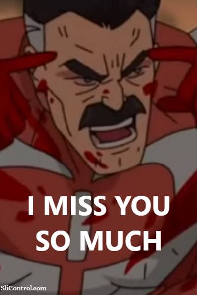 45 Best I Miss You Memes “I miss you so much.”