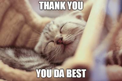 45 You're The Best Memes “Thank you. You da best!”