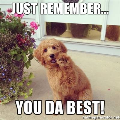 45 Most Popular Memes “Just remember... You da the best!”