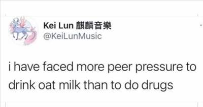 The 55 Funniest Tweets Memes Of All Time Why Are Memes Funny I have had to deal with more peer pressure to drink oat milk than to do drugs.