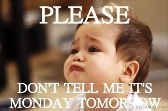 please dont tell me its monday tomorrow monday memes funny monday memes