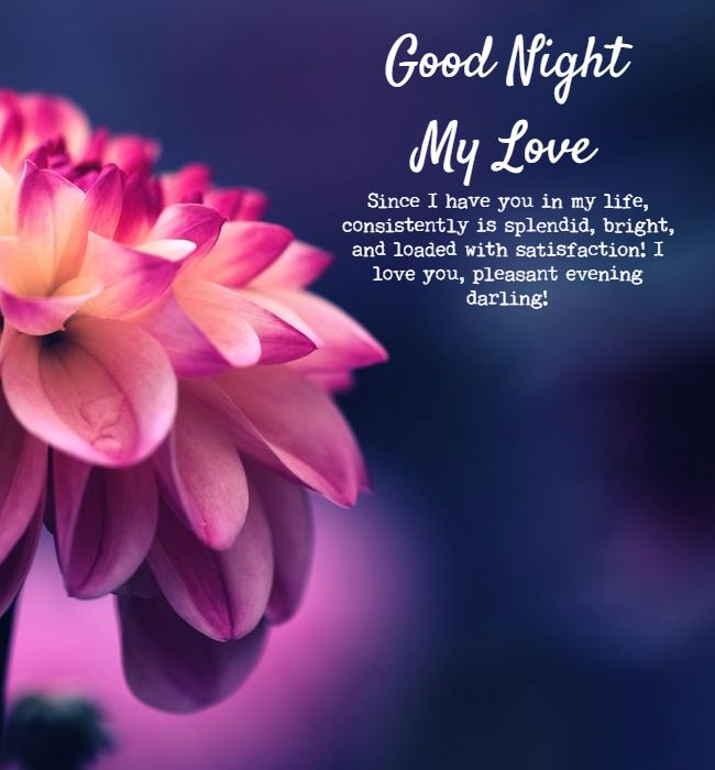 good night message for my love good night message for my love