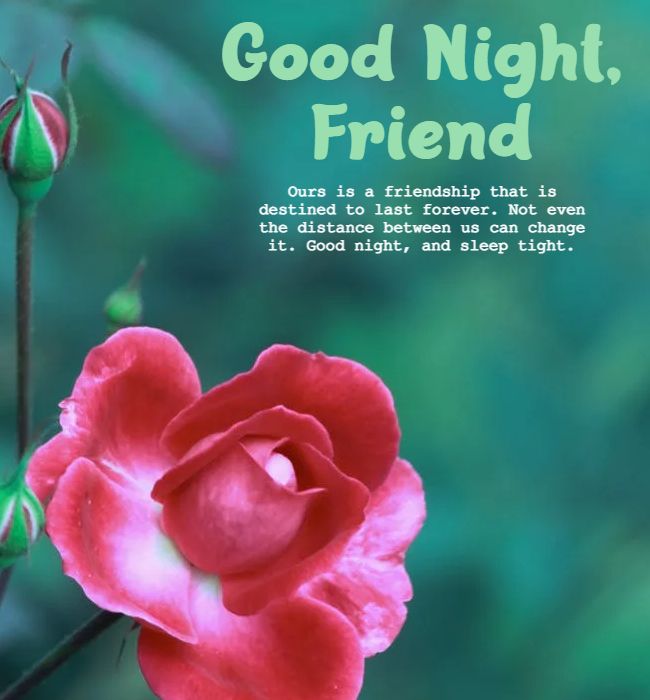 good night wishes for best friend