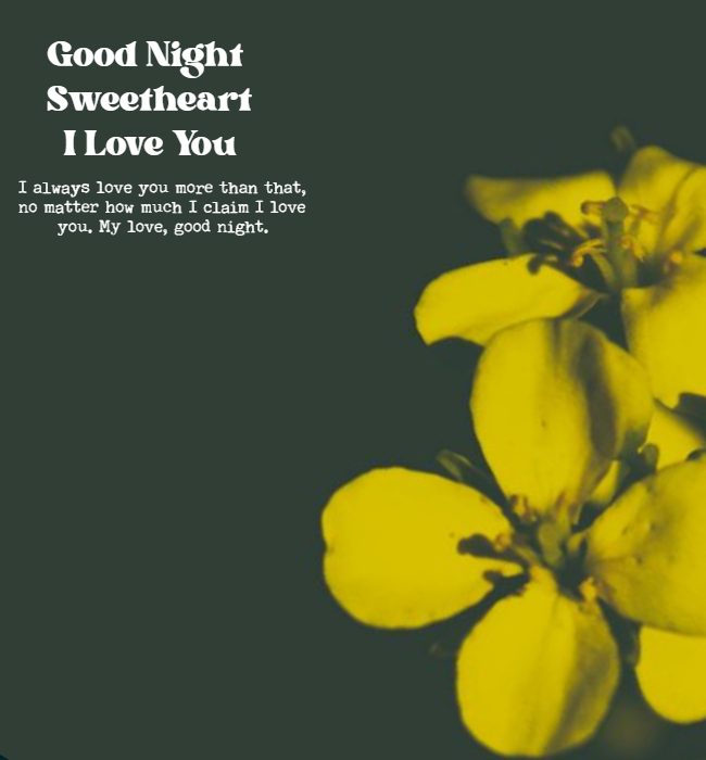 long good night messages for him