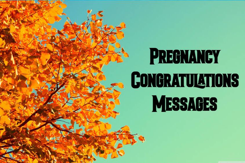 Pregnancy Wishes Congratulations Messages To Expecting Parents