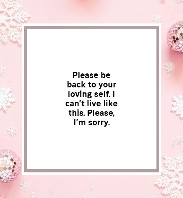 apology message to a husband