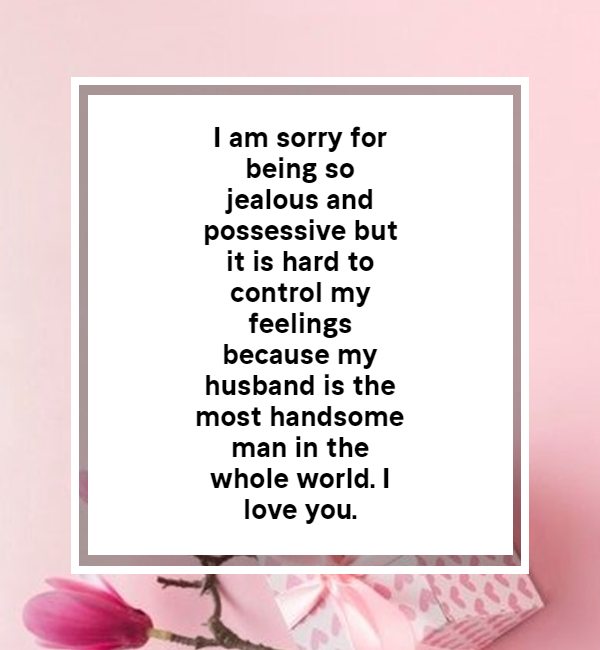 sorry msg for husband