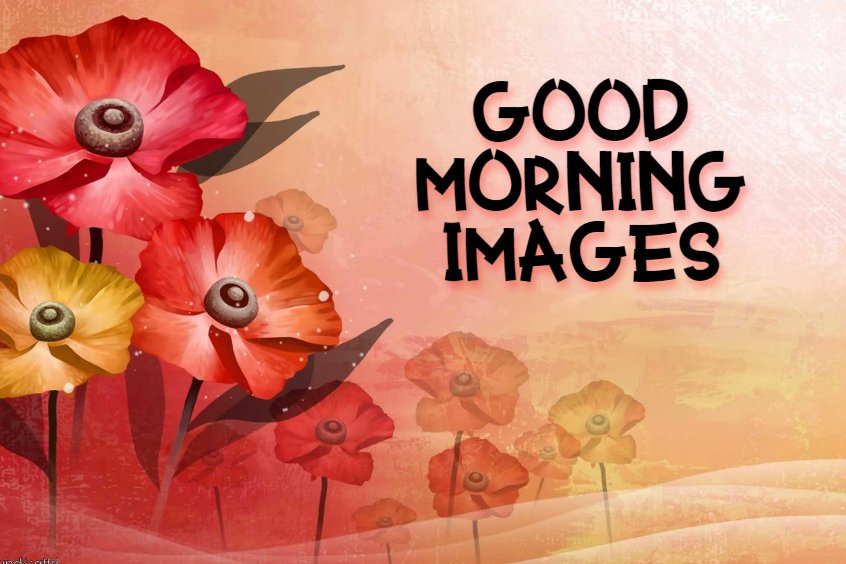 Special Good Morning Images With Quotes Pictures And Positive Words