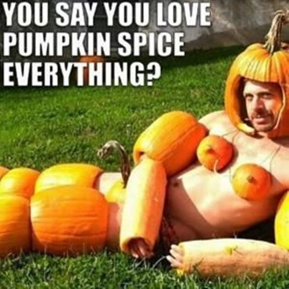 fall memes funny Pumpkin Spice Memes Images Quotes and Puns to Spice up Your Fall Sayings and Puns