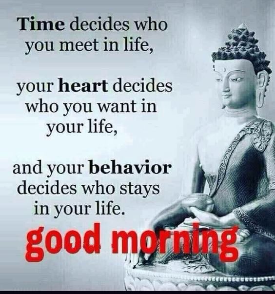gm pics Special Good Morning Images With Quotes Pictures And Positive Words gm pics Special Good Morning Images With Quotes Pictures And Positive Words