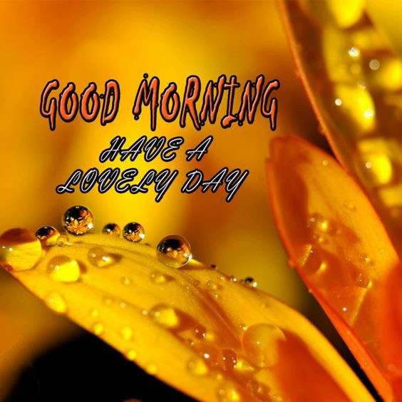 good morning symbol images New Good Morning Images With Quotes And Positive Good Morning Quotes