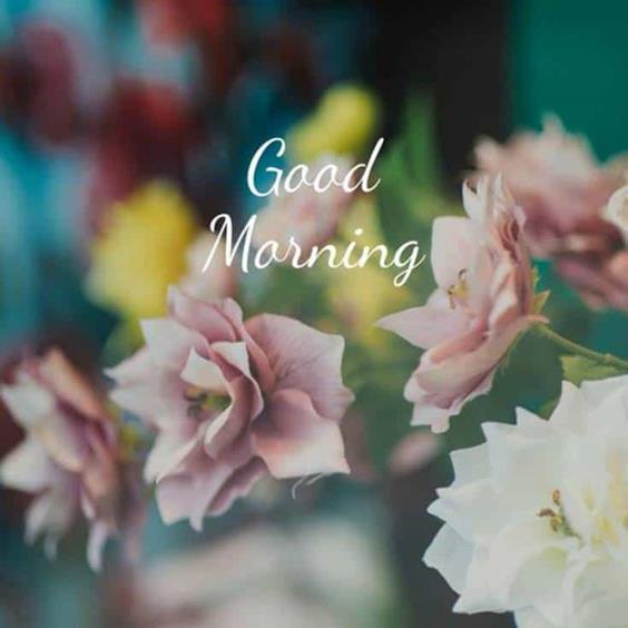 its a good day quotes Good Morning Day Images With Quotes Wishes Pictures And Good Messages