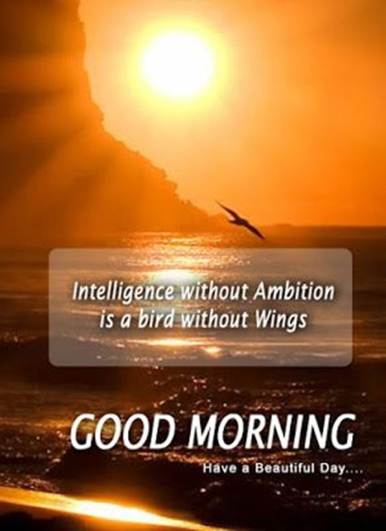 pleasant good morning Good Morning Msg With Pictures Images And Fun Motivation Quotes