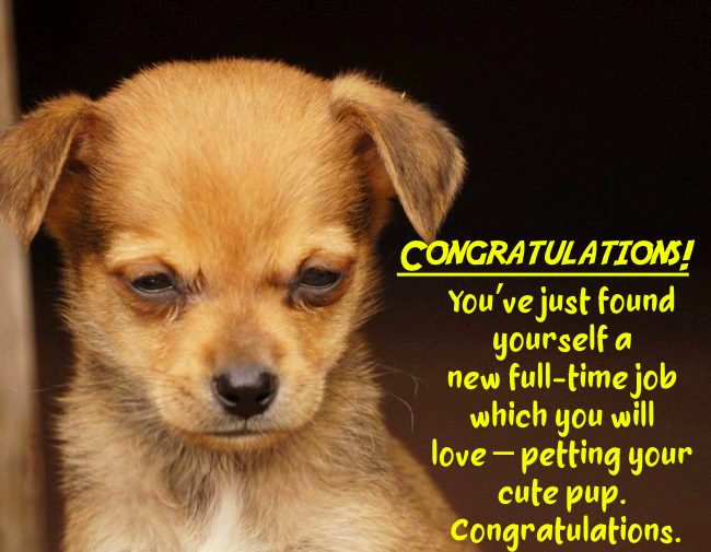 new puppy card message