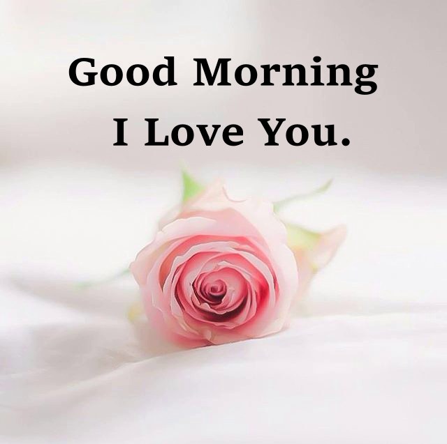 good morning loving you message | good morning message to melt her heart, good morning love, good morning gorgeous i love you, good morning my precious love