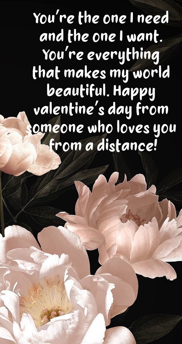 valentines day text messages for her with pictures | happy valentines day quotes for her, best valentine message for her, valentines day picturers 