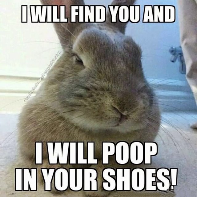 funny frustration memes Angry Memes That Can Help You Anger Management With Very Funny Images funny frustration memes Angry Memes That Can Help You Anger Management With Very Funny Images