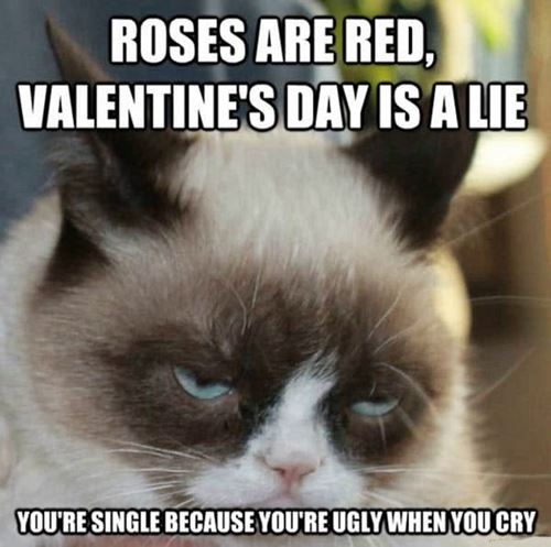 valentine days meme for singles