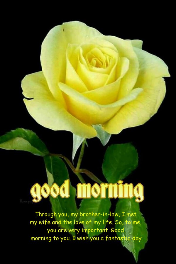 Good Morning My Brother In Law Images Quotes Messages And Wishes