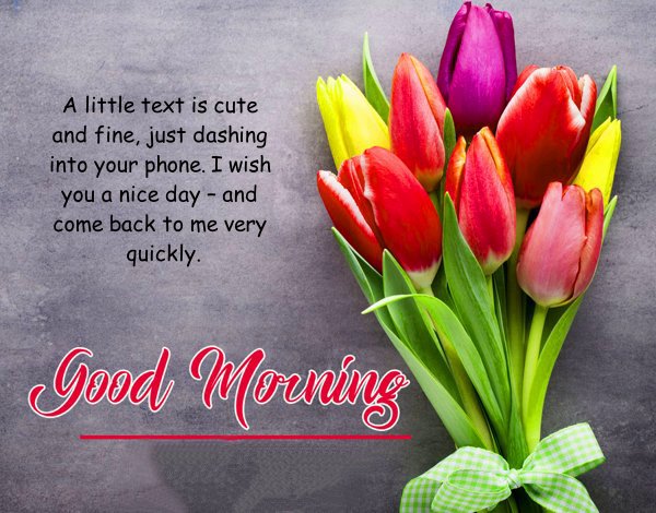 Good Morning Quotes For Him Long Distance with beautiful images