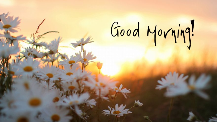 200 Good Morning Quotes For Him With Beautiful Images