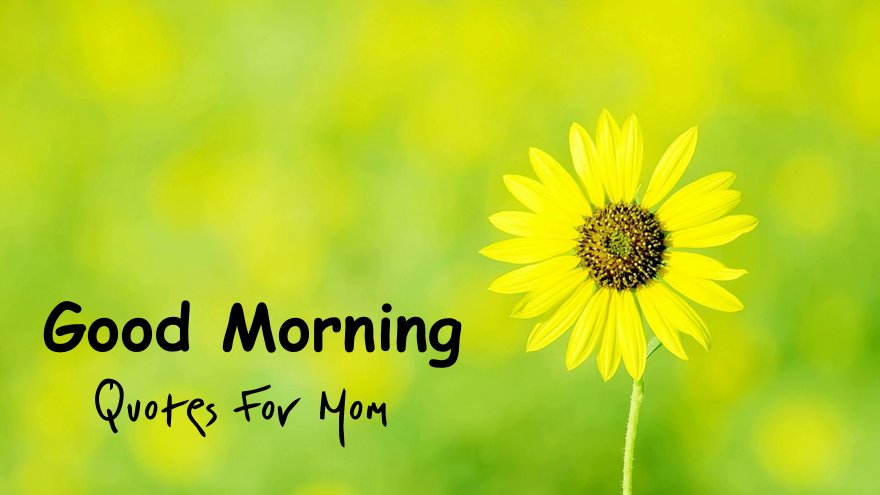 140 Good Morning Quotes For Mom With Beautiful Images