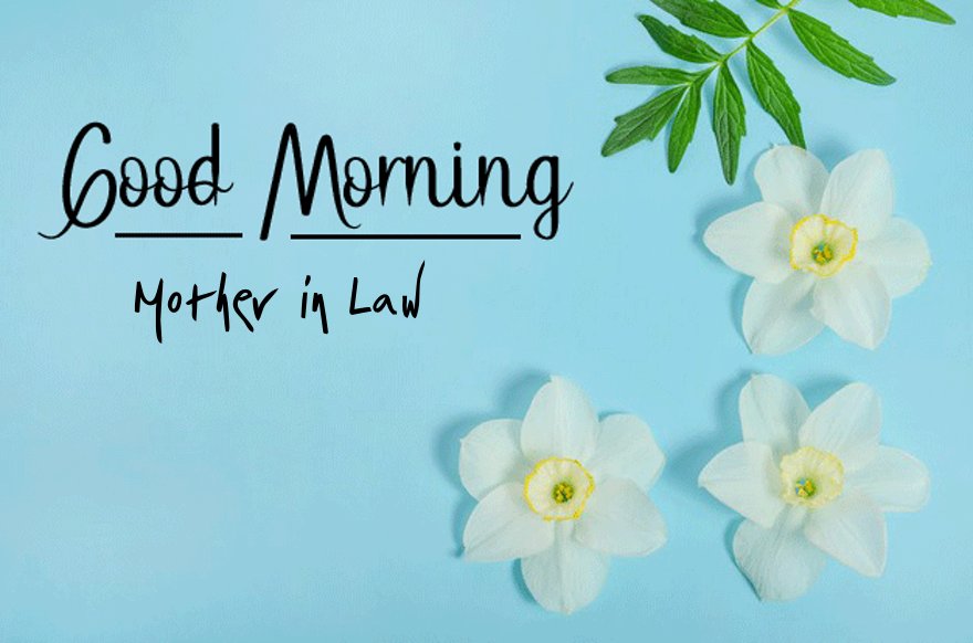 77 Good Morning Quotes for Mother in Law With Beautiful Images