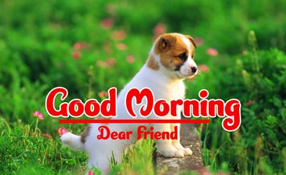 Good Morning Images Photo Pic HD Download With puppy good morning cute puppies