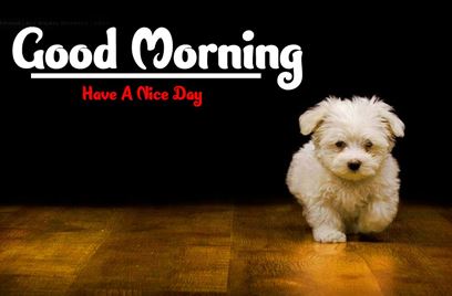 Good Morning Images Photo Pic HD Download With puppy wes90