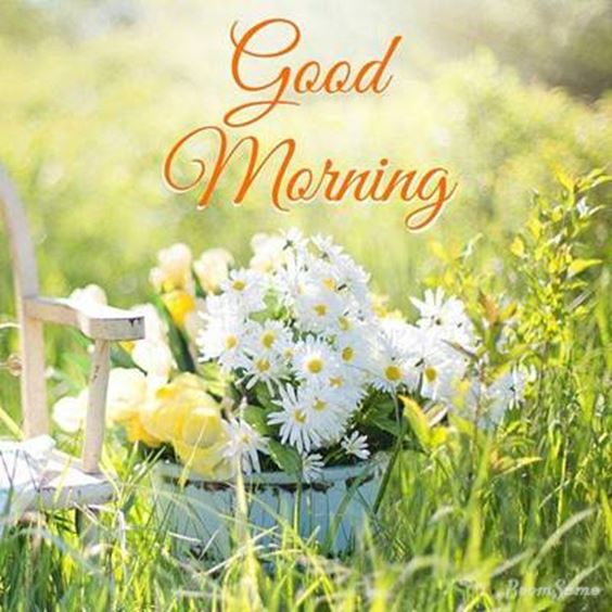 happy morning images Special Good Morning Images With Quotes wishes Pictures And Good Thoughts