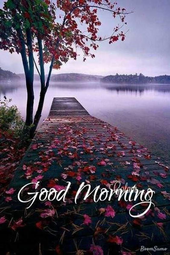 happy morning pics Special Good Morning Images With Quotes wishes Pictures And Good Thoughts