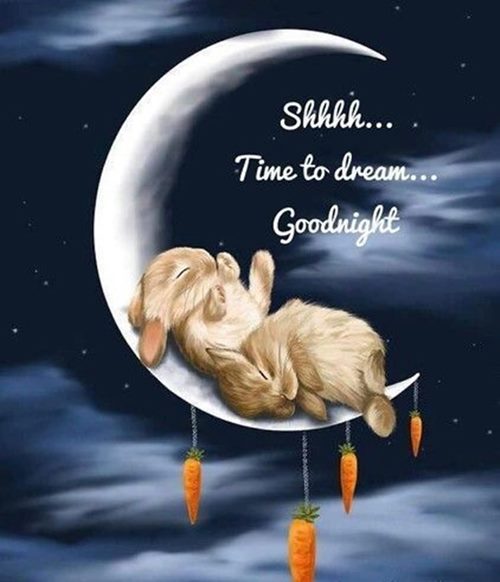 true love love good night rose and best good night images true love love good night rose and best good night images