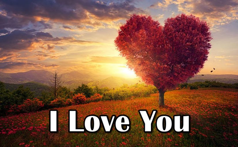 80 Most Romantic I Love You Images with Quotes