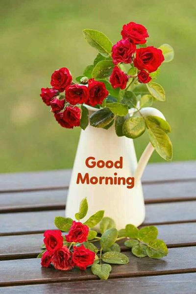 flowers with good morning wishes and good morning flowers wishes