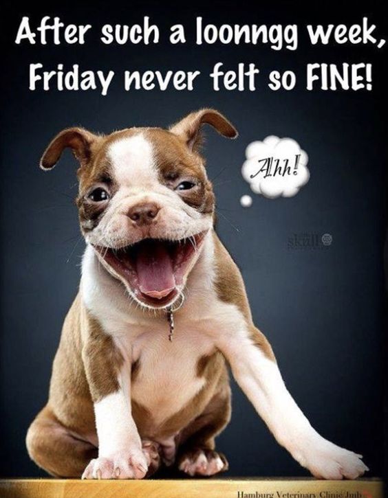 funny memes about friday