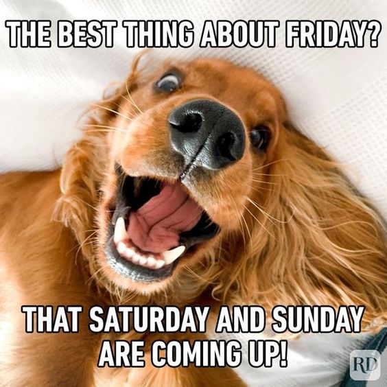 happy black friday memes funny