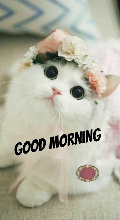 morning greetings com images and wonderful picture hd