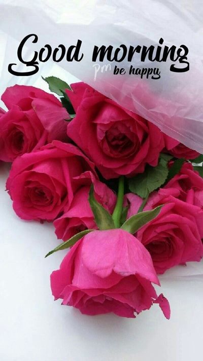 morning posts and goodmorning rose flower for her morning posts and goodmorning rose flower for her