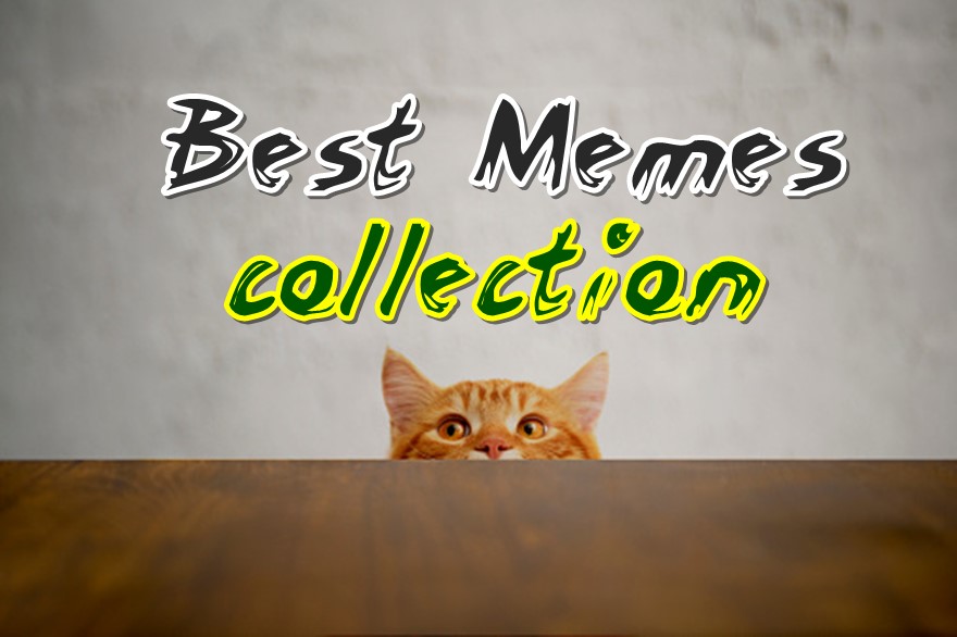 the Best Memes