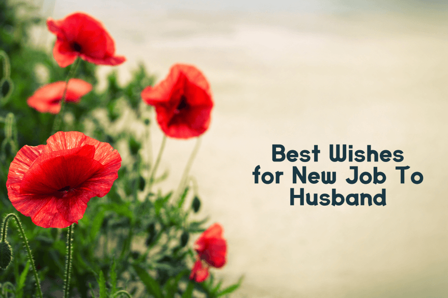Amazing Best Wishes for New Job To Husband Congratulate Messages