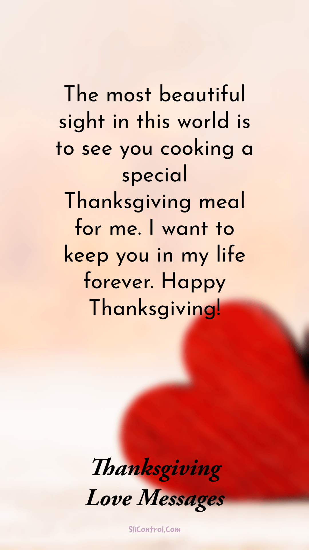 what to write in a thanksgiving card about love