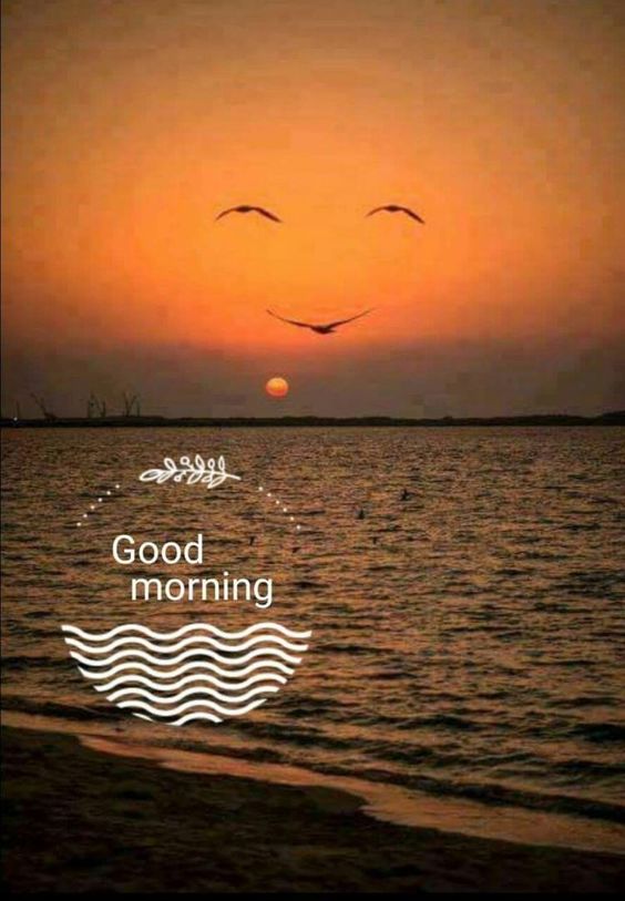 lovely good morning heart touching messages to a wife