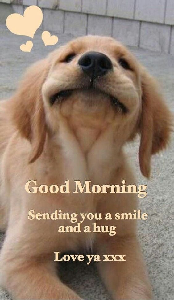 most heartfelt good morning messages for her