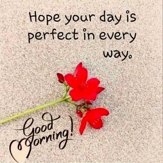 sweet and heart touching good morning messages for her